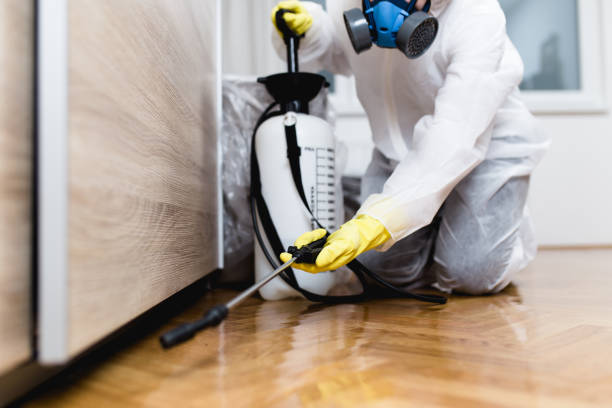 Best Ant Control Services  in Rancho Alegre, TX