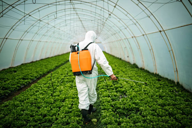 Professional Pest Control in Rancho Alegre, TX
