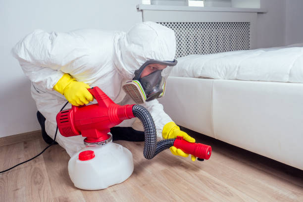 Best Pest Prevention Services  in Rancho Alegre, TX