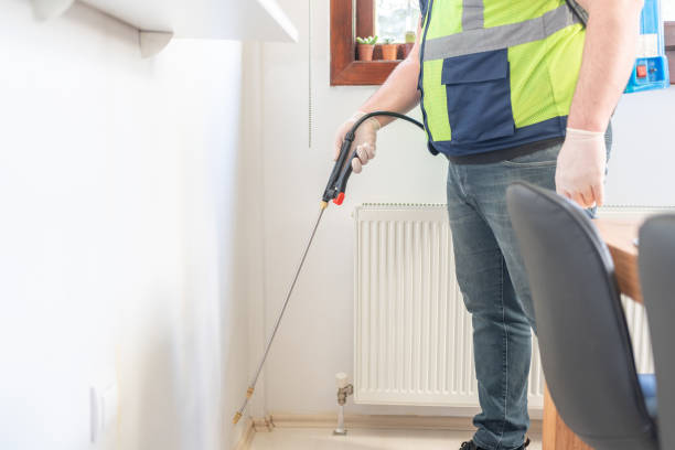 Wasp Removal Services in Rancho Alegre, TX