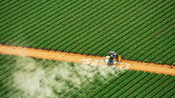 Best Best Pest Control Companies  in Rancho Alegre, TX