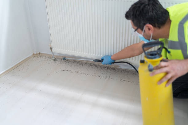Best Affordable Pest Control Services  in Rancho Alegre, TX